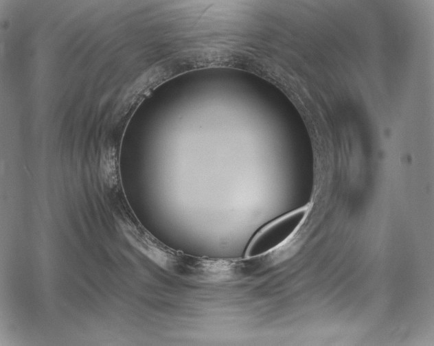 X0000069390144200605121220