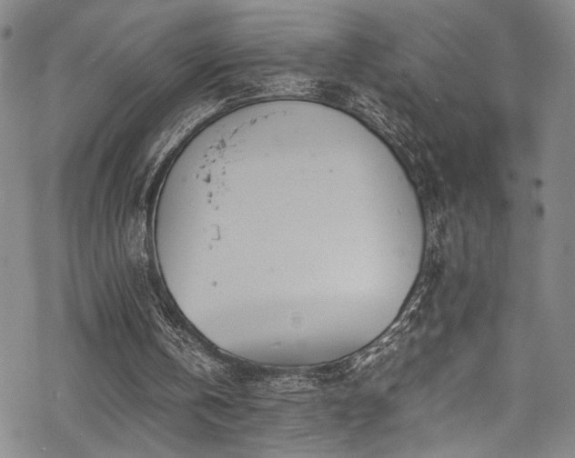 X0000069390146200605121220