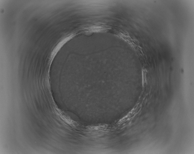 X0000069390147200605121220