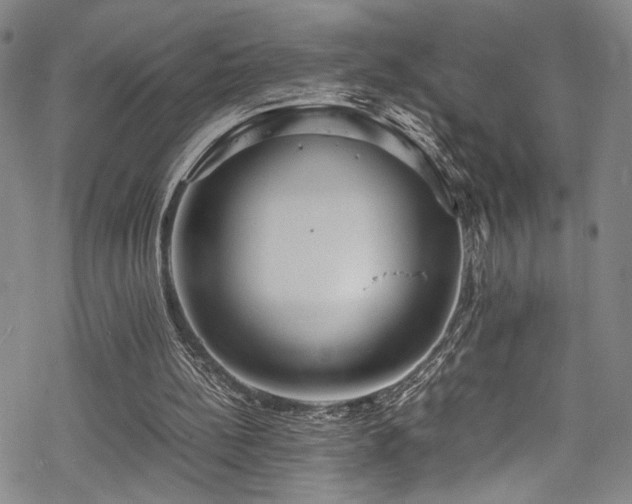 X0000069390148200605121220