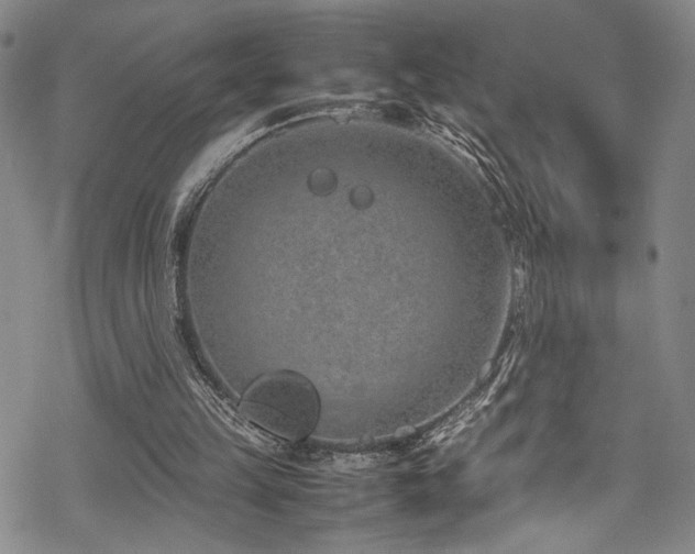 X0000069390149200605121220