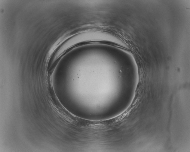 X0000069390150200605121220