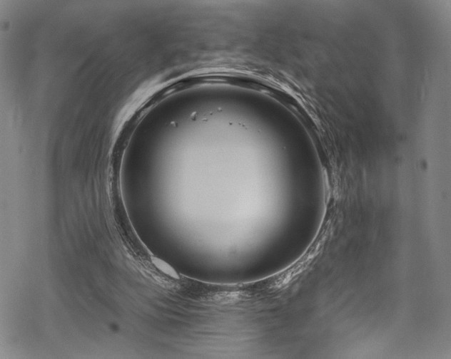 X0000069390152200605121220