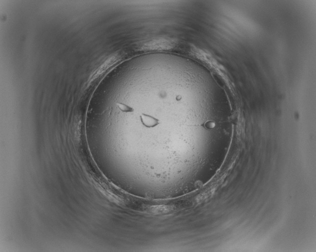 X0000069390153200605121220