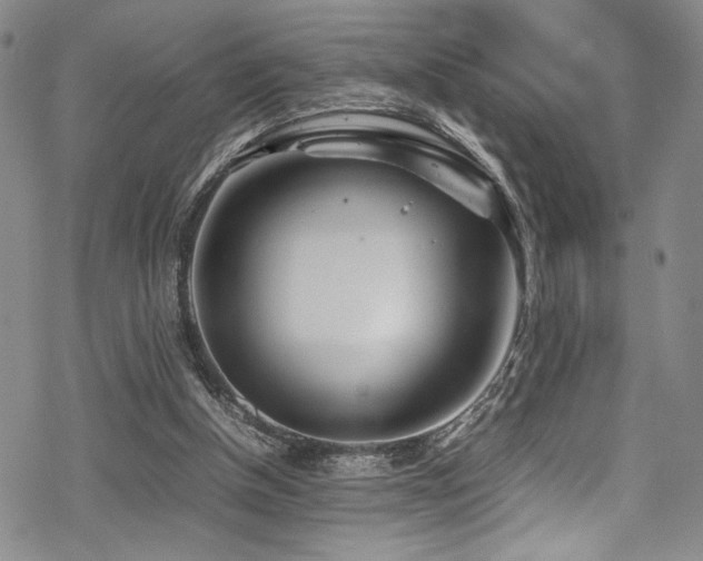 X0000069390154200605121220