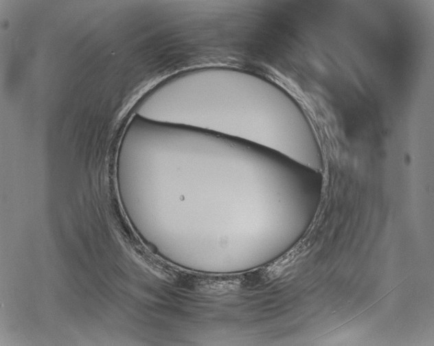 X0000069390155200605121220