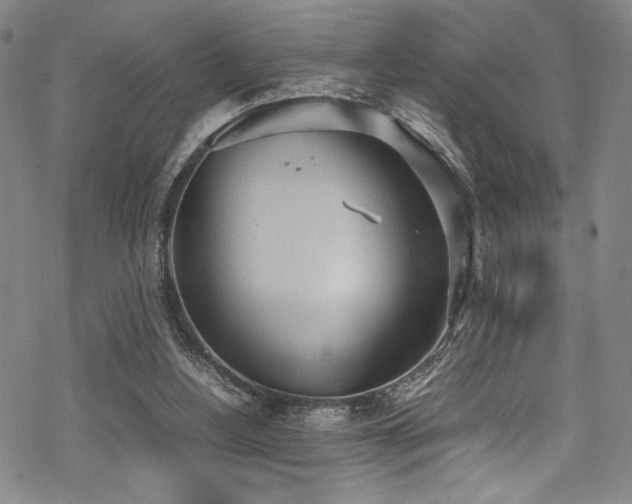 X0000069390156200605121220