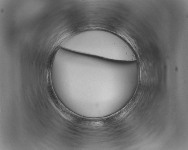 X0000069390157200605121220