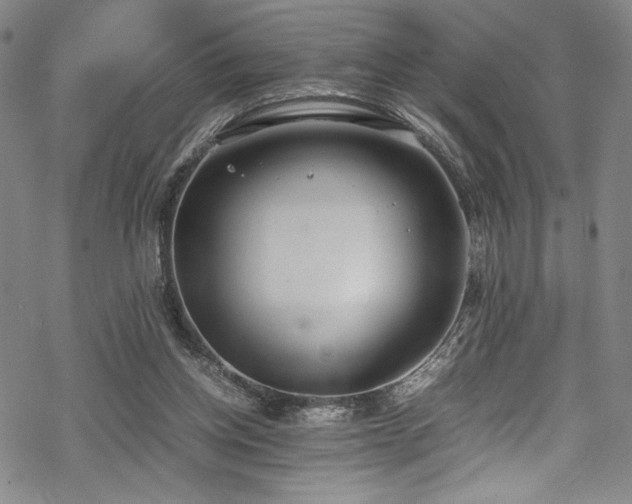 X0000069390158200605121220