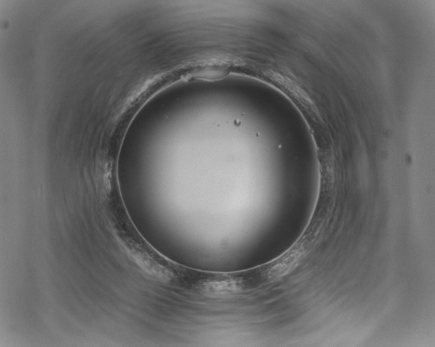 X0000069390160200605121220