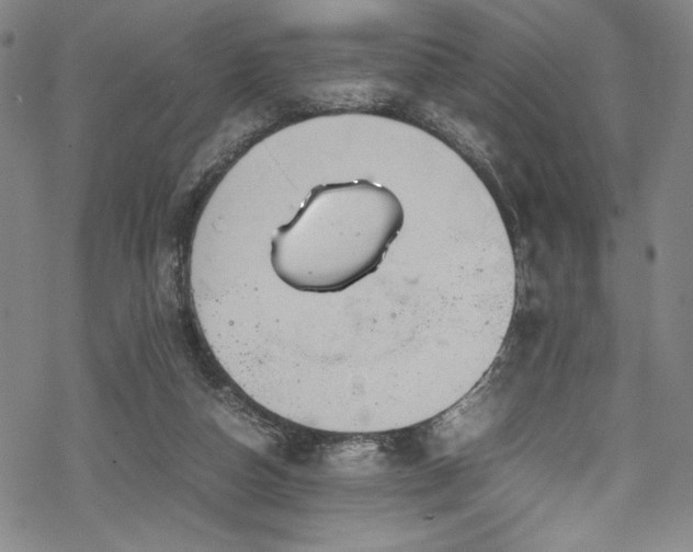 X0000069390162200605121220