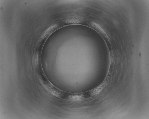 X0000069390163200605121220