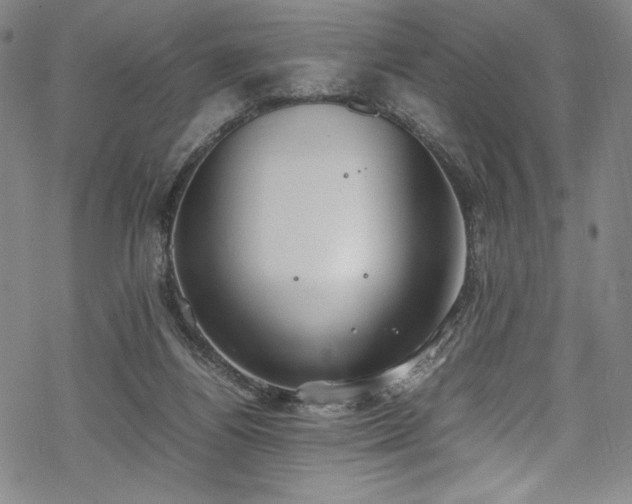 X0000069390164200605121220