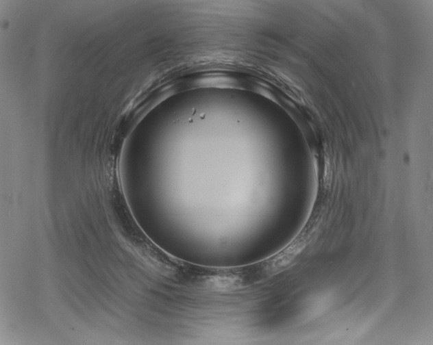 X0000069390168200605121220