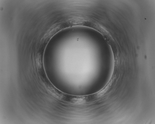 X0000069390170200605121220