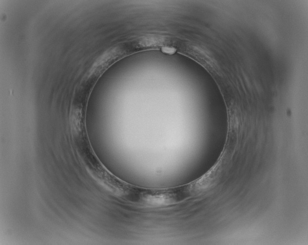 X0000069390171200605121220