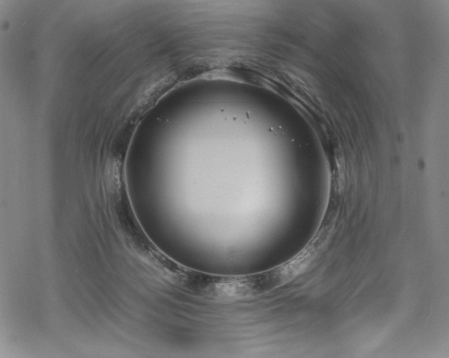 X0000069390172200605121220