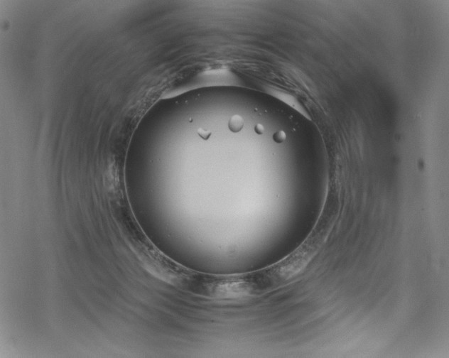 X0000069390173200605121220