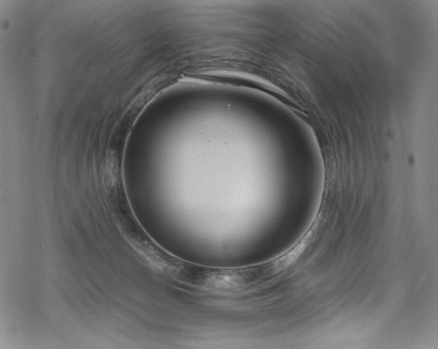 X0000069390174200605121220