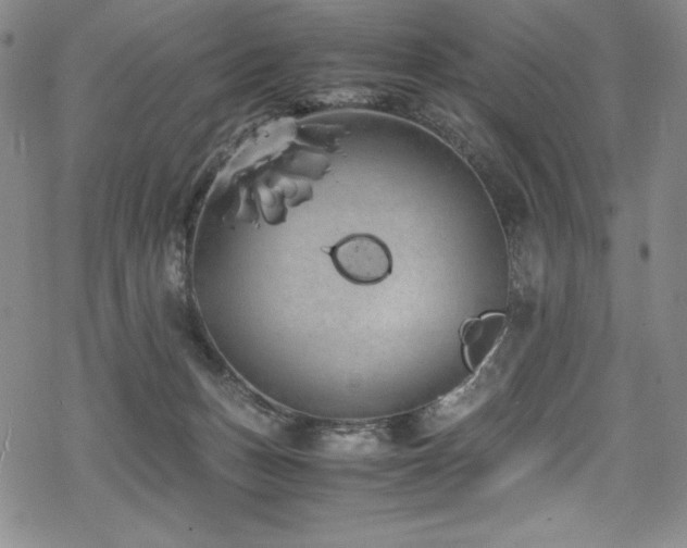 X0000069390175200605121220