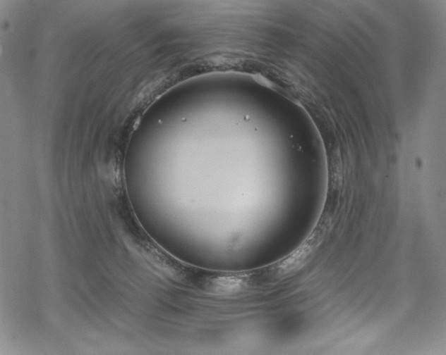 X0000069390176200605121220