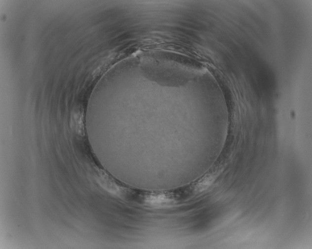 X0000069390177200605121220