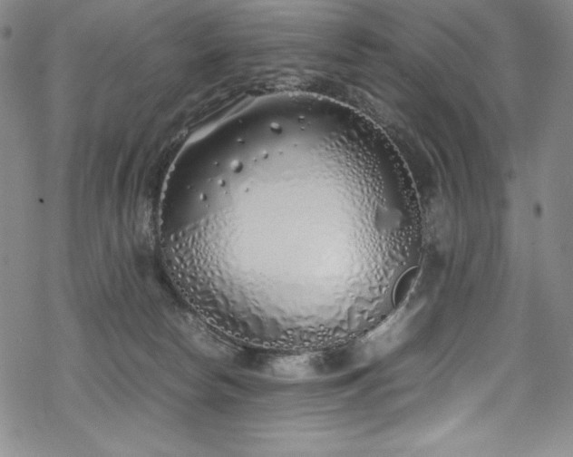 X0000069390178200605121220