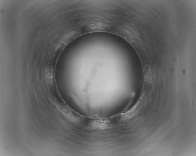 X0000069390179200605121220