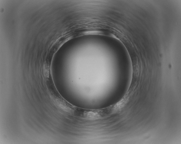 X0000069390180200605121220