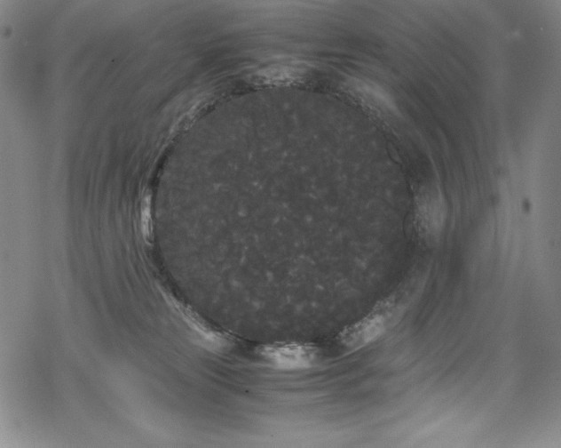 X0000069390181200605121220