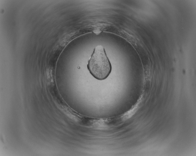 X0000069390182200605121220