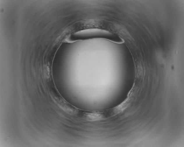 X0000069390183200605121220