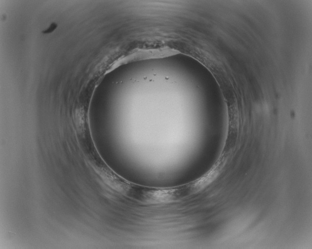 X0000069390184200605121220