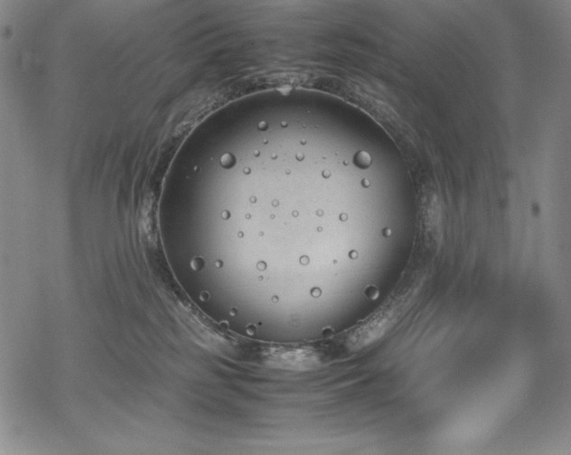 X0000069390185200605121220