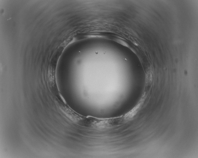 X0000069390186200605121220