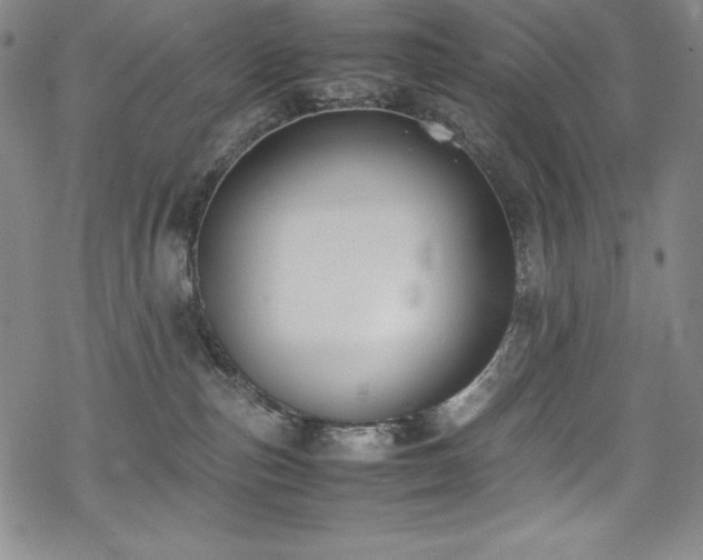 X0000069390187200605121220