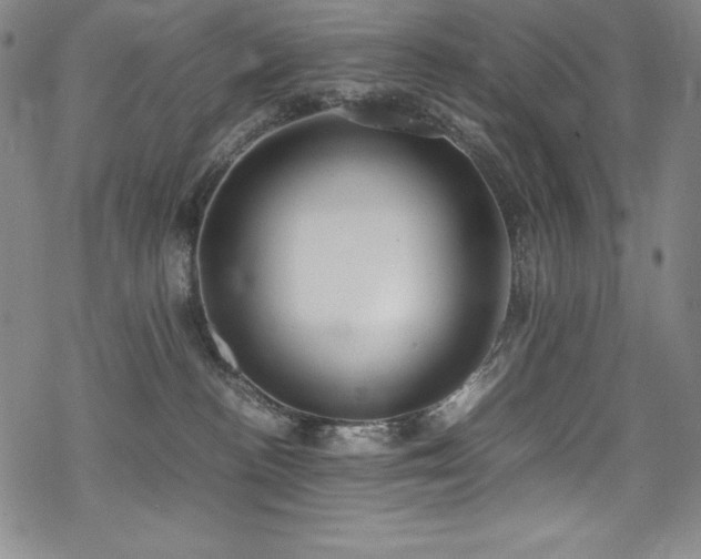 X0000069390188200605121220