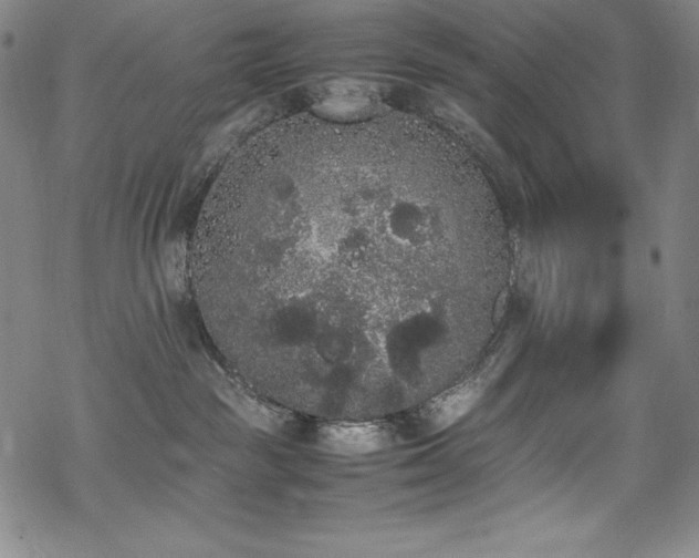 X0000069390189200605121220