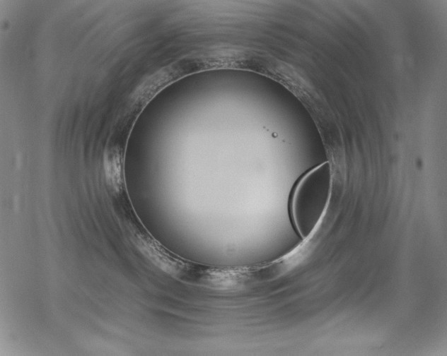 X0000069390190200605121220