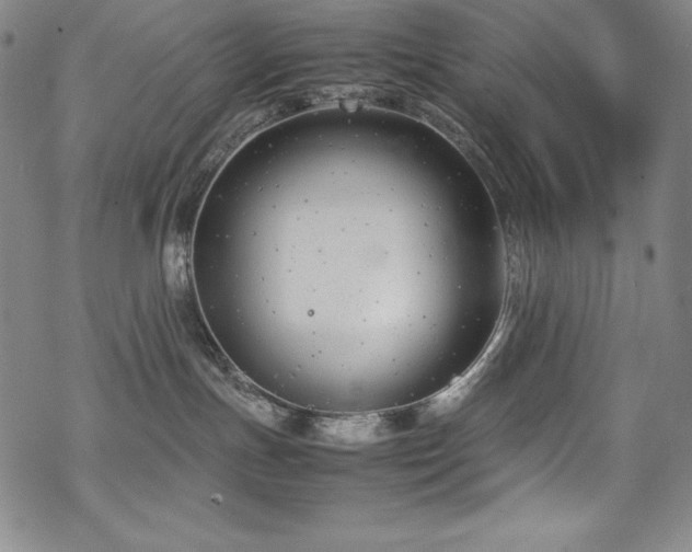 X0000069390191200605121220