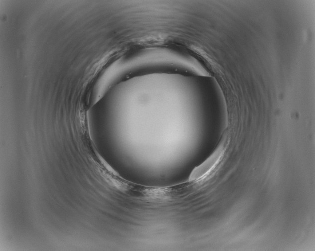 X0000069390192200605121220