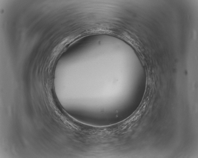 X0000069390193200605121220