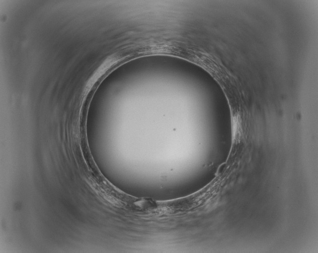 X0000069390195200605121220