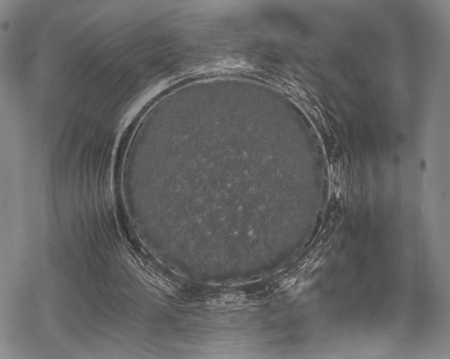 X0000069390196200605121220