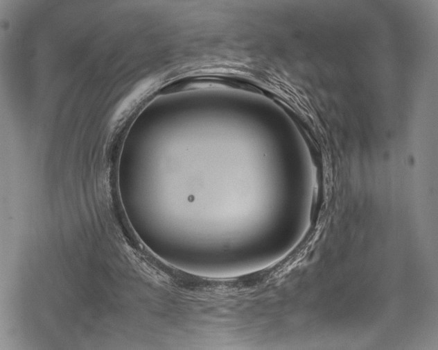 X0000069390197200605121220