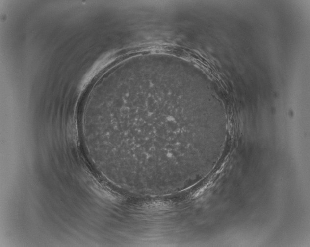 X0000069390198200605121220