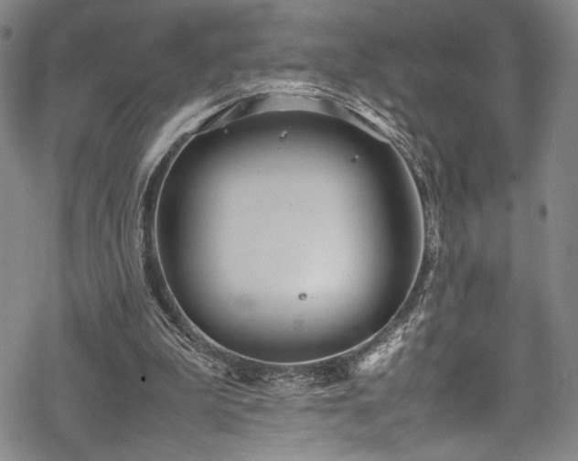 X0000069390199200605121220