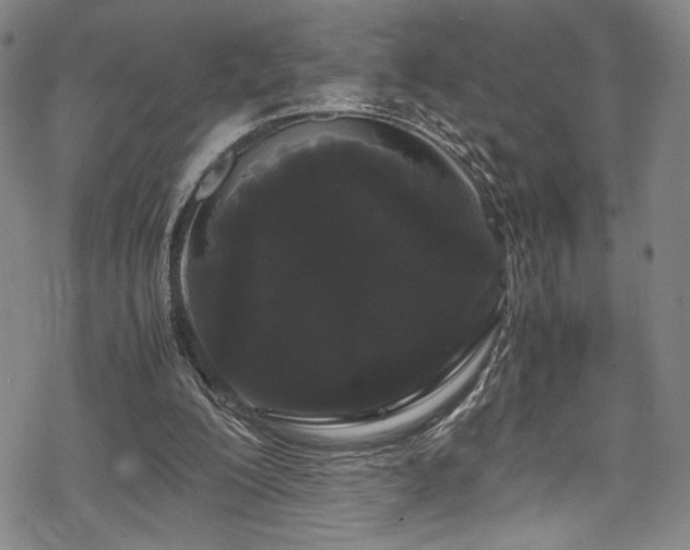 X0000069390200200605121220