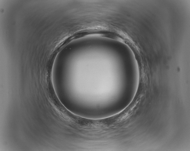 X0000069390201200605121220