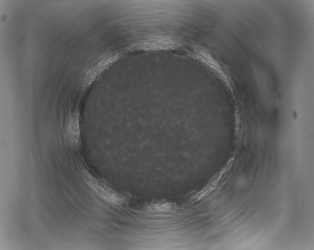 X0000069390202200605121219